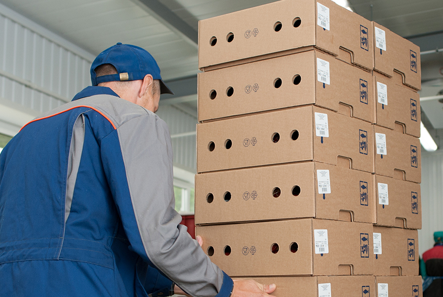 Labeling Factors for Food Products
